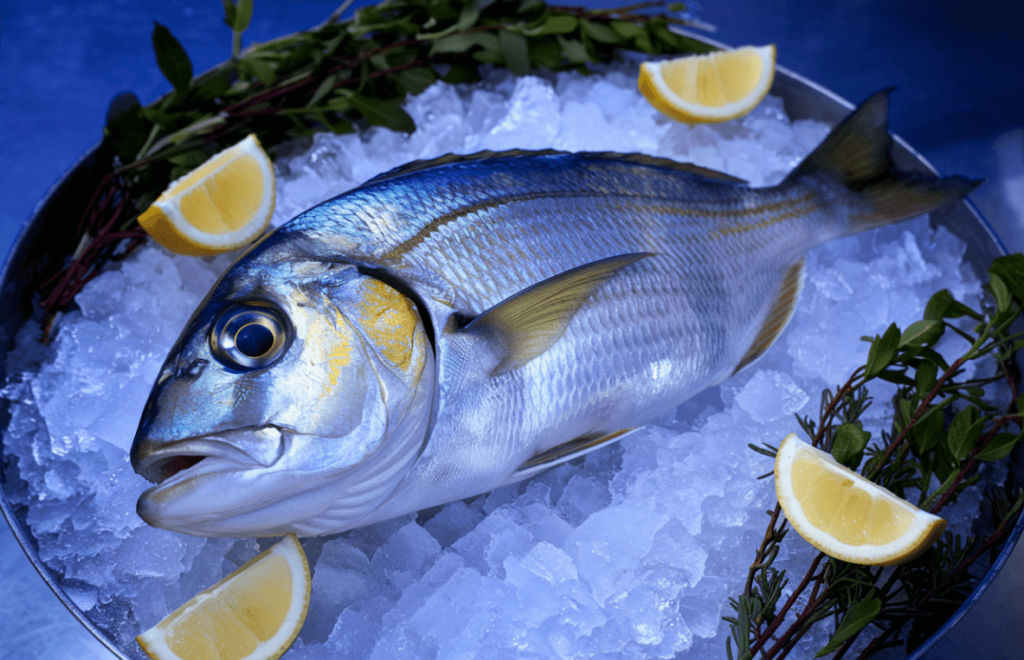  A freshly caught Sea Bream fish resting on a bed of ice, garnished with lemon wedges and aromatic herbs.